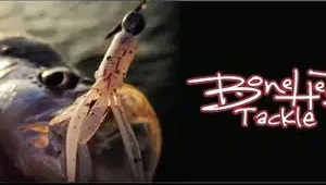 Bonehead Tackle Stump Bugs