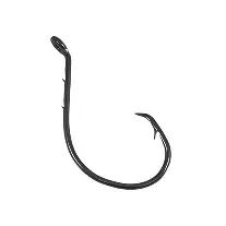 Eagle Claw - L2196PG Non-Offset Forge Point - Circle Bait  - Platinum Black