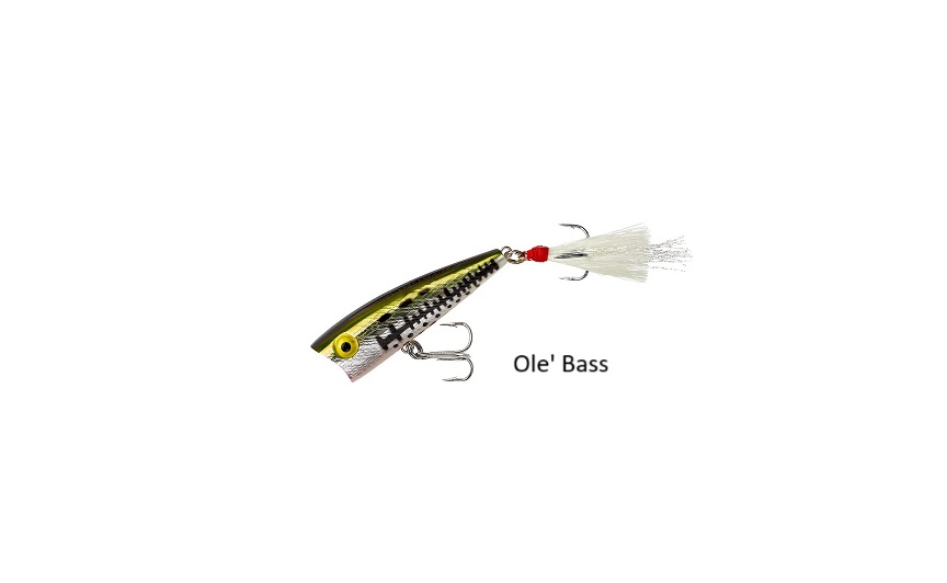 Rebel, Pop R, 2 1/2 in. - 1/4 oz., Topwater - Image 5