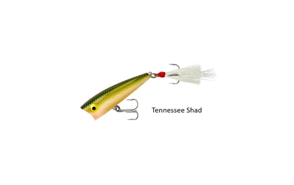 Rebel, Pop R, 2 1/2 in. - 1/4 oz., Topwater - Image 4
