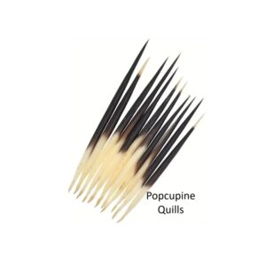 Porcupine Float